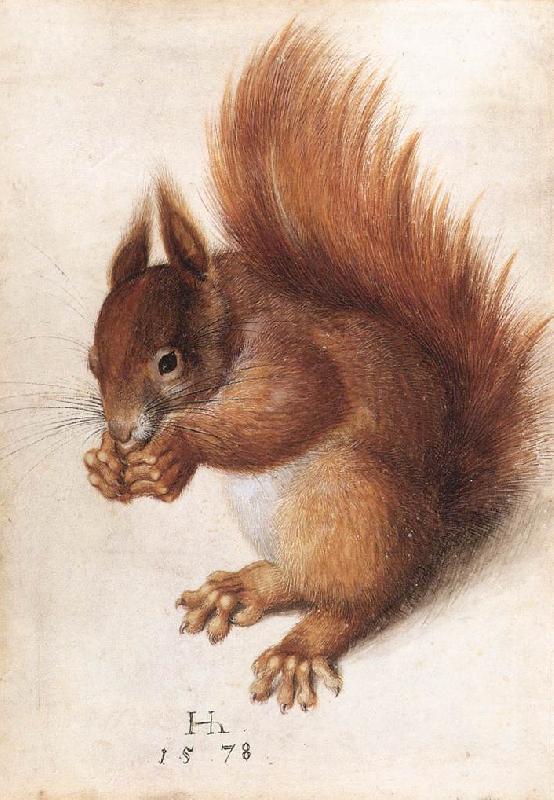 HOFFMANN, Hans Squirrel wf Sweden oil painting art